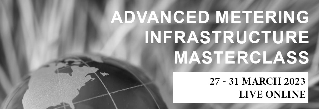 Advanced Metering Infrastructure Masterclass 2023